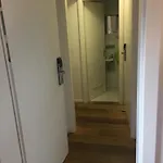 أم شلوس هايدلبرغ